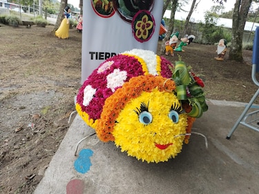Flores, cultura y tradición: Tierras Altas celebra su Novena Parada