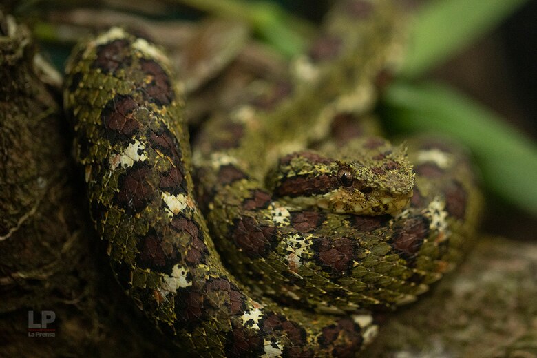 El Valle de Antón y su vocación turística