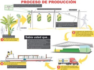 En ciernes, huelga en bananeras por arnés