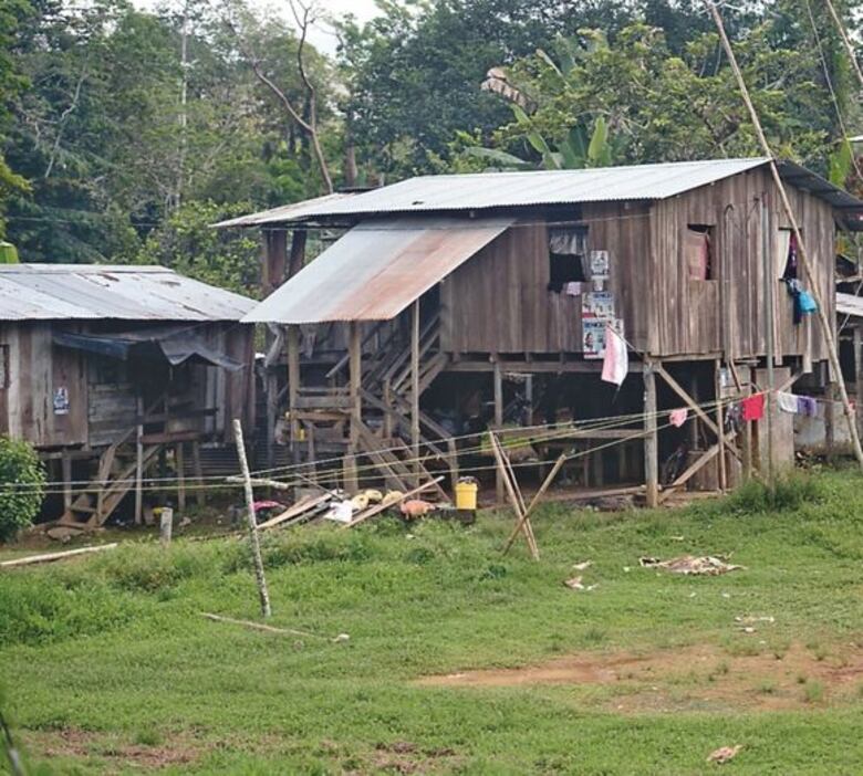 Piden al Tribunal Electoral anular la candidatura del diputado Robinson