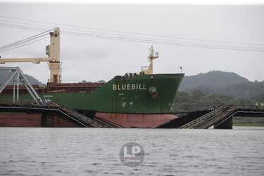ACP investigará colisión de buque contra el puente del ferrocarril en el río Chagres, en Gamboa