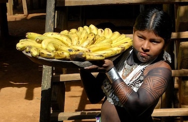 Festival por el Día Internacional de los Pueblos Indígenas rendirá tributo a la sazón étnica