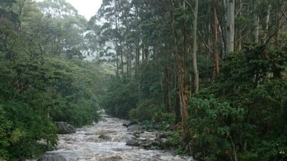 Prohíben temporalmente el acceso al volcán Barú por el área de Los Llanos