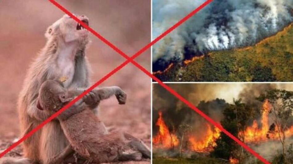 Las imágenes ‘engañosas’ de los incendios en Amazonas