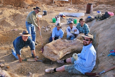 El dinosaurio más grande de Australia es una especie nueva