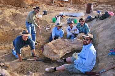 El dinosaurio más grande de Australia es una especie nueva