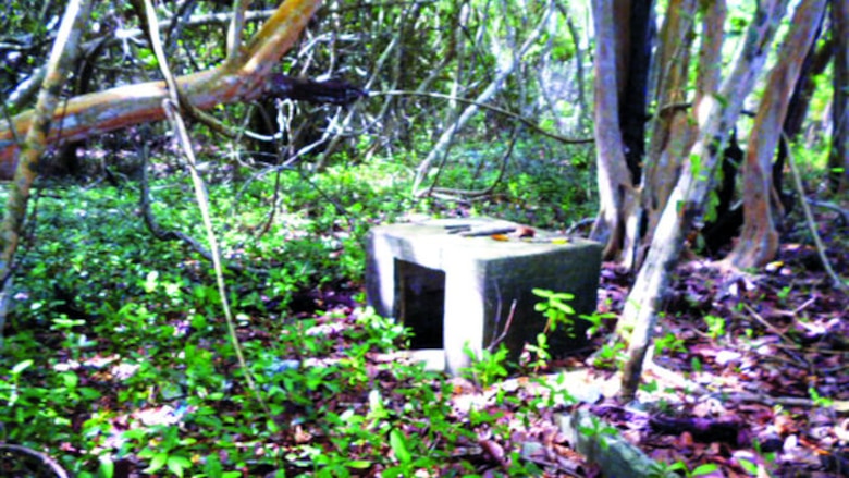 En busca de las defensas del Atlántico