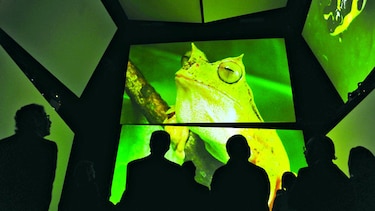 45 mil visitas al Biomuseo