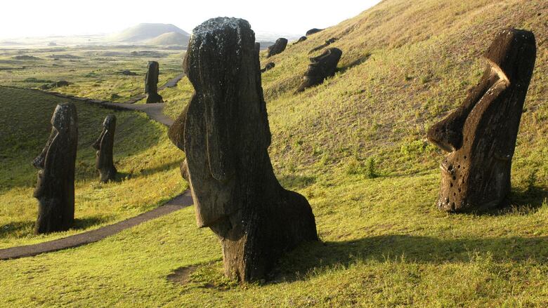‘Algún día volverán al océano’: la lenta destrucción de los moái en la Isla de Pascua