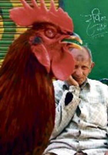 Novedades en la cocina moderna