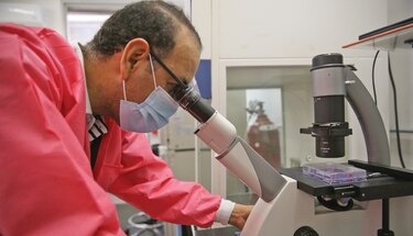 Investigación en Panamá revela compuestos marinos con fuerte potencial antiviral