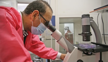 Científicos del Gorgas identifican antiviral que neutraliza cuatro virus
