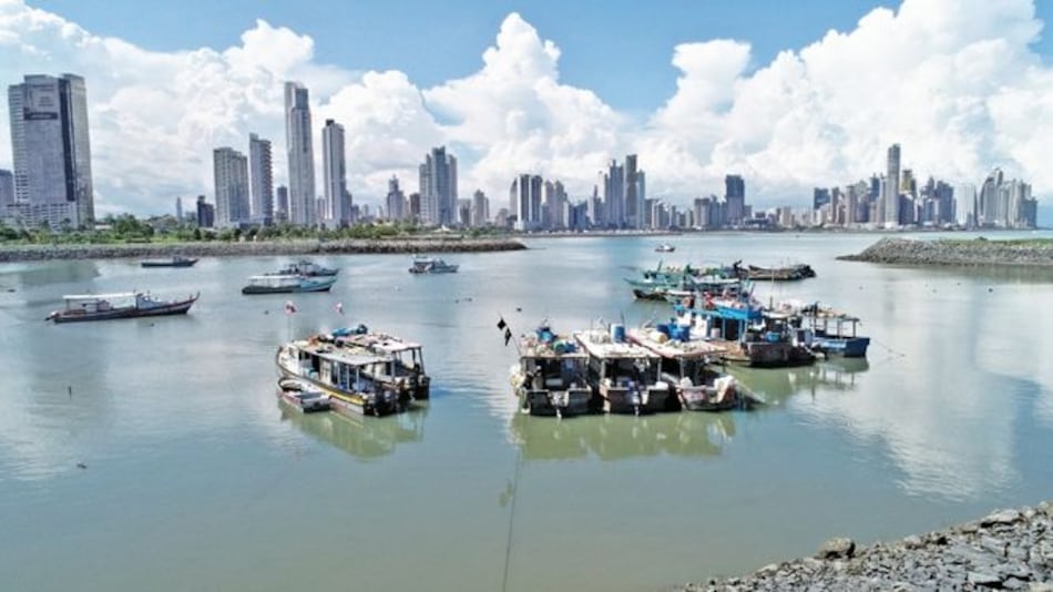 A licitación, concesión para limpieza de mares