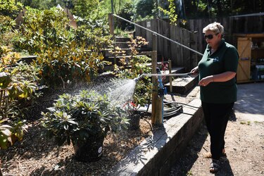 Cambio climático pone en jaque a horticultores