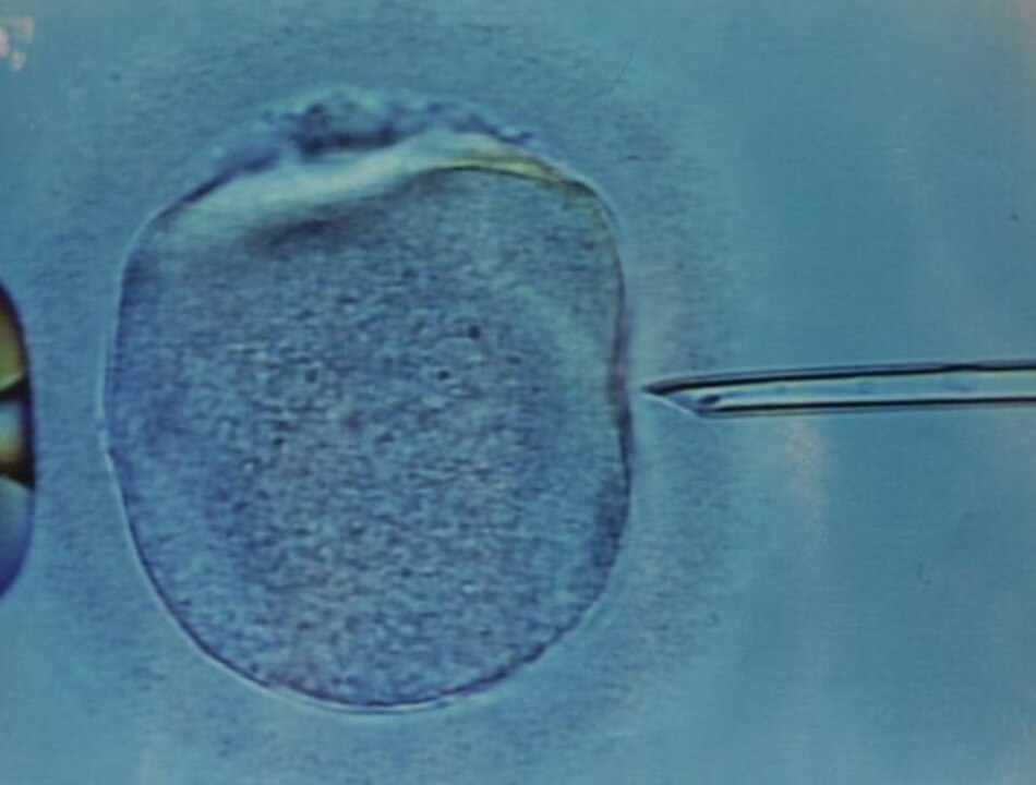 Un estudio sueco vincula dos genes con inclinación a cometer actos violentos
