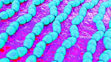 Microbios más resistentes
