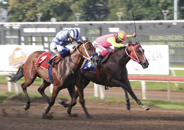 Tarde de homenaje a los propietarios de caballos en el hipódromo