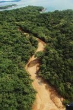 La paradisiaca isla del narco