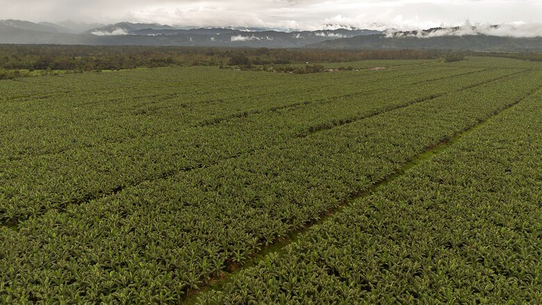 Gobierno conversa con Chiquita; intenta frenar crisis económica en Bocas del Toro