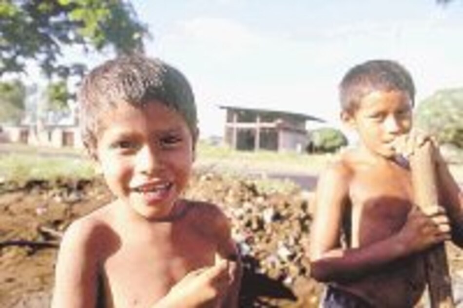 DDT goza aún de buena salud