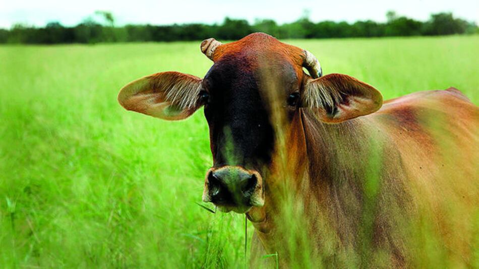 Economía paraguaya se contrae 2.4%