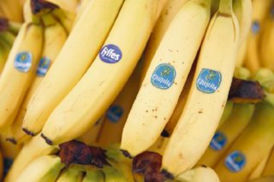 Niegan fusión de Chiquita Brands