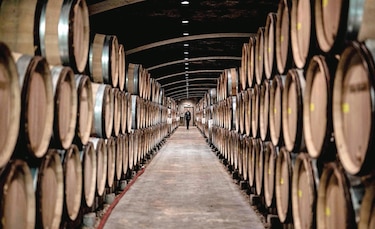 Producción de vino francés caerá 30% por bajas temperaturas 