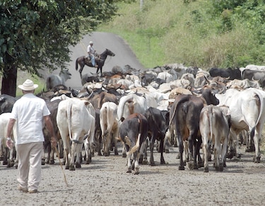 El diálogo es un ‘monólogo delirante’, dice el Conep