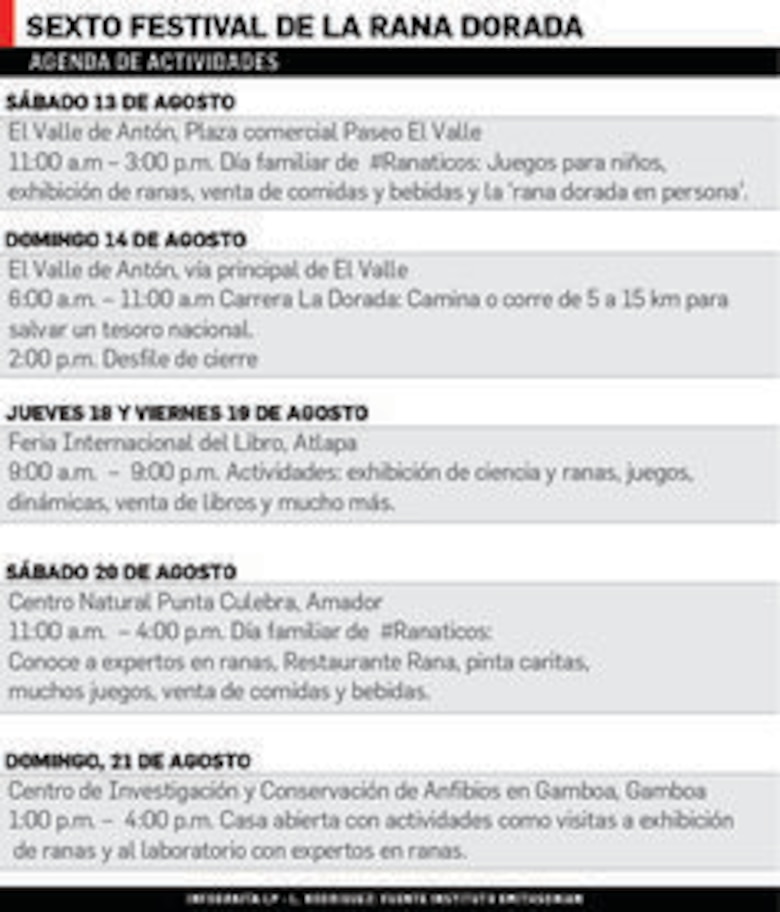 Un festival para promover el valor de la rana dorada