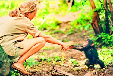 Jane Goodall, una mujer libre