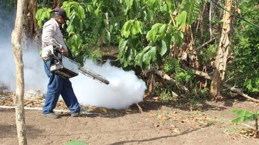 Ministerio de Salud reporta 111 casos de zika en Panamá