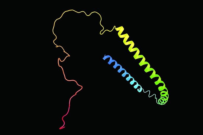 El rol de una proteína en el Parkinson