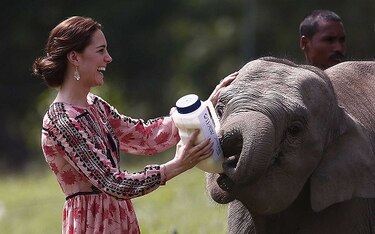 Duques de Cambridge disfrutan de safari en noreste de India