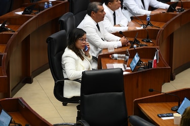 Patsy Lee: ‘No habrá independencia en la Asamblea si Shirley Castañedas la preside’