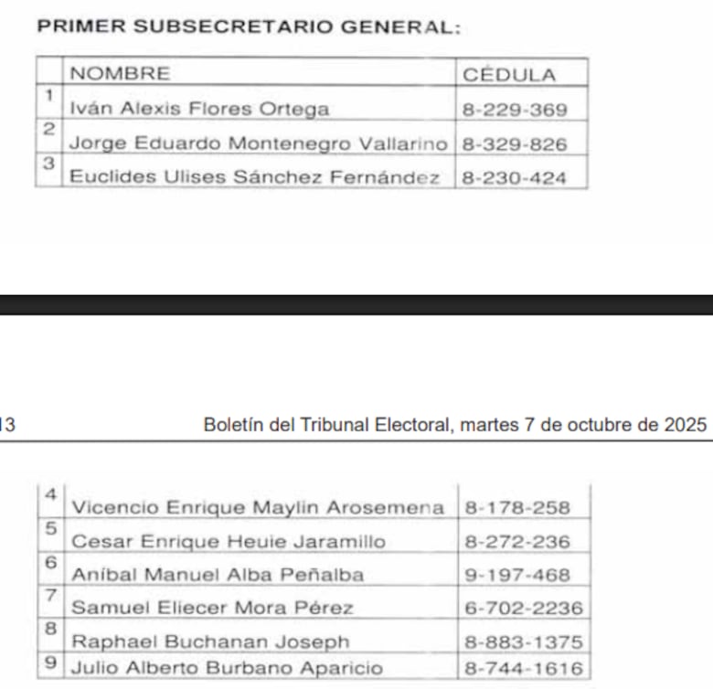 José Luis Fábrega, Arquesio Arias y Aldo López Tirone, entre los candidatos al CEN; esta es la lista oficial de los postulados