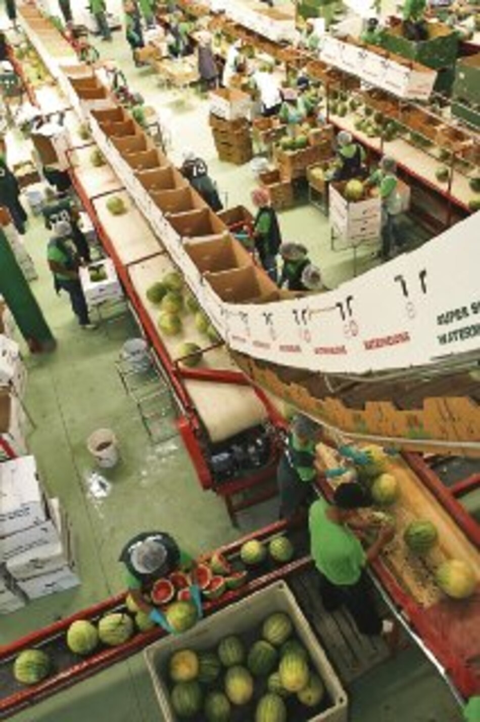 Ramafrut alerta a las autoridades panameñas