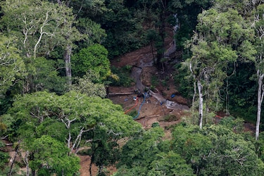 Oro en el Darién: el complejo sistema ilícito del Clan del Golfo que Panamá quiere romper