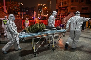 Un año después de la primera muerte en China, el origen del virus sigue siendo una incógnita