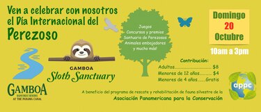 Agenda de actividades de esta semana