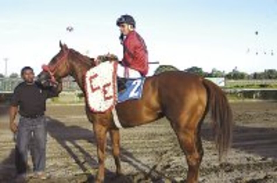‘Ay Papá’ no tuvo rivales en prueba hípica de ayer