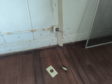 Hurto de cables en Gamboa deja daños económicos en propiedad del Smithsonian