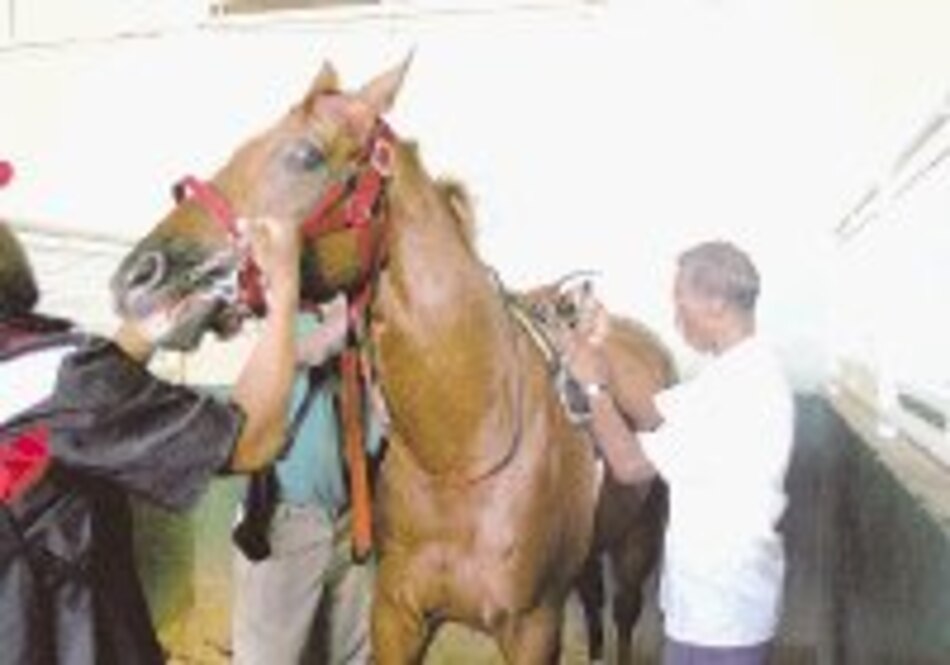 Un ‘groom’ de mucho fuste