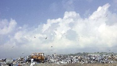 Empresarios de Zona Libre lanzan ultimátum