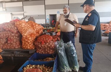 Acodeco advierte sobre posible especulación y acaparamiento de la cebolla