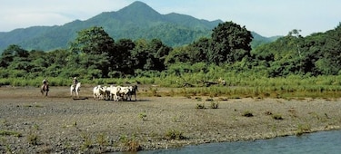 Fiscal pedirá juicio por riego de Tonosí