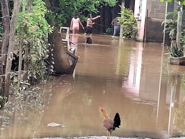 ‘¡Viene el río!’: Familias en Los Santos se salvan por alerta vecinal ante desbordamiento