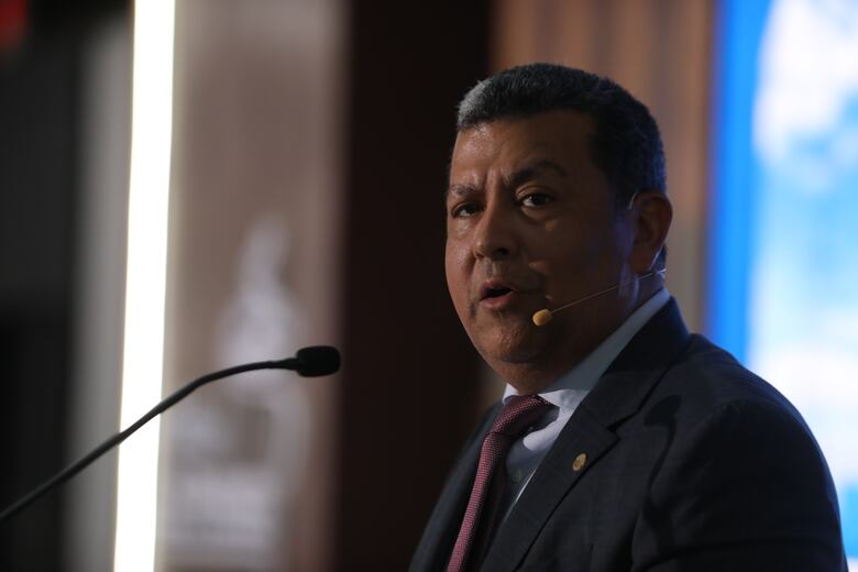 Etesa apuesta por repotenciar líneas de transmisión existentes 