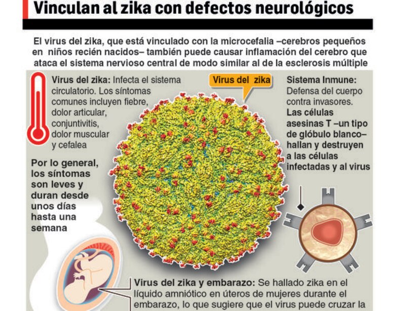 Colombia confirma dos casos de microcefalia asociados a zika