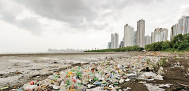 Gremios piden incluir a las Pymes en la lucha contra el cambio climático  