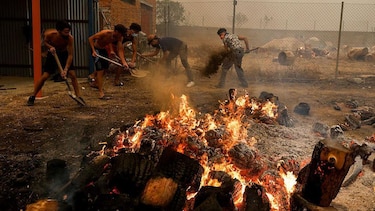 ‘Si me hubiera demorado cinco minutos más, nos habría arrasado’: los testimonios de los afectados por los devastadores incendios en España y Francia